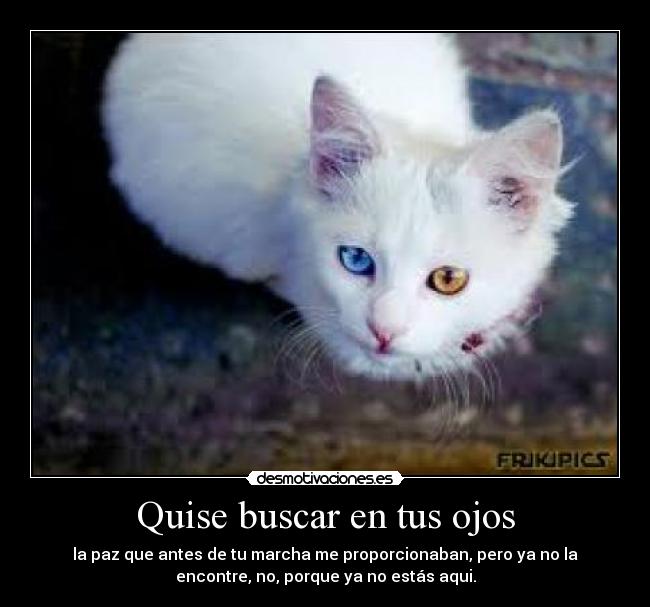 Quise buscar en tus ojos - la paz que antes de tu marcha me proporcionaban, pero ya no la
encontre, no, porque ya no estás aqui.