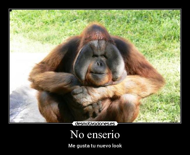 No enserio - Me gusta tu nuevo look