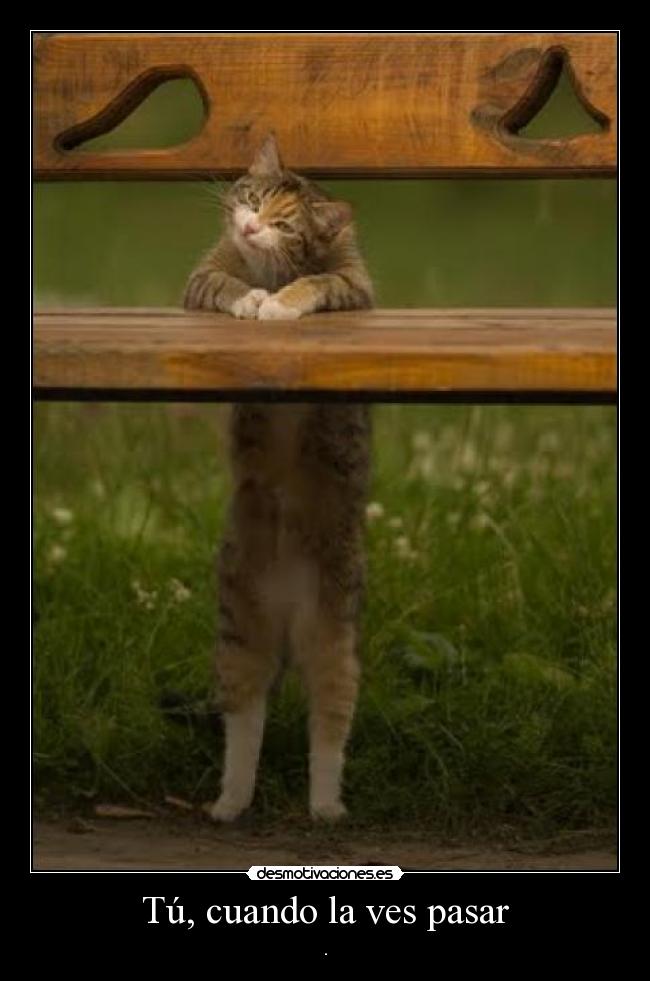 Tú, cuando la ves pasar - .