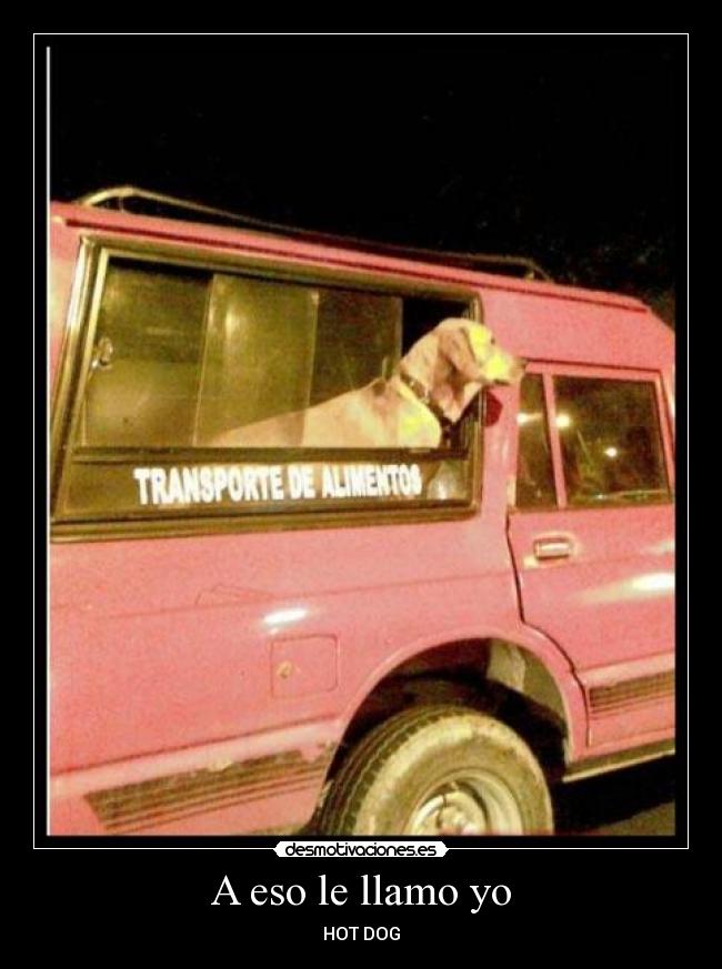 A eso le llamo yo - HOT DOG