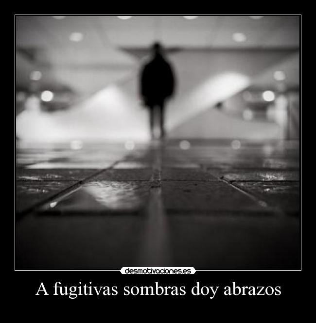 A fugitivas sombras doy abrazos - 