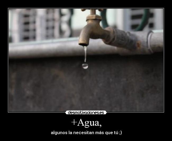 +Agua, -