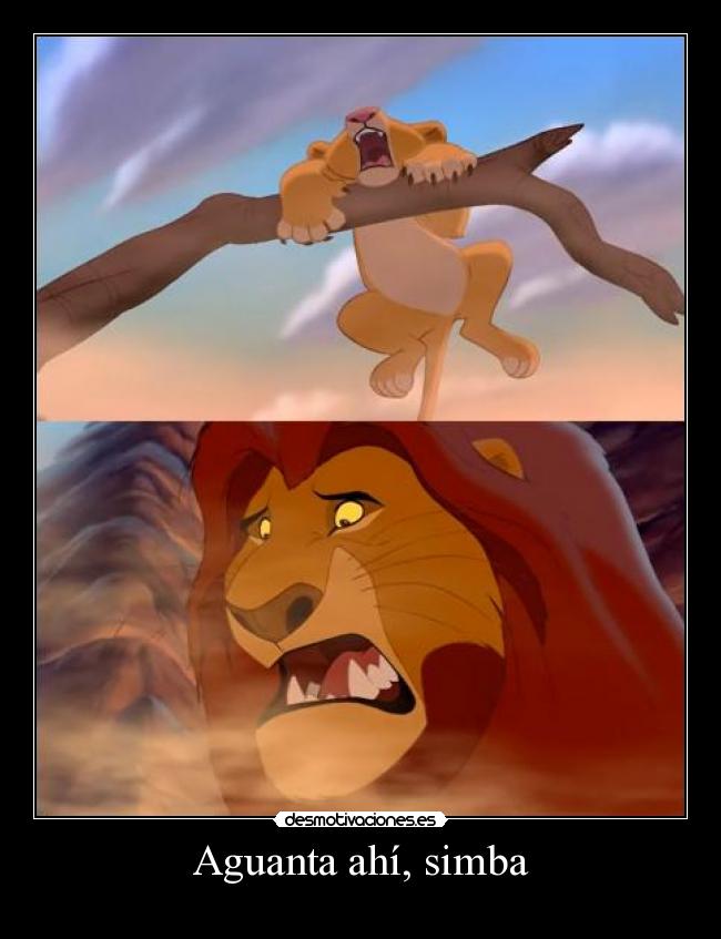 Aguanta ahí, simba -