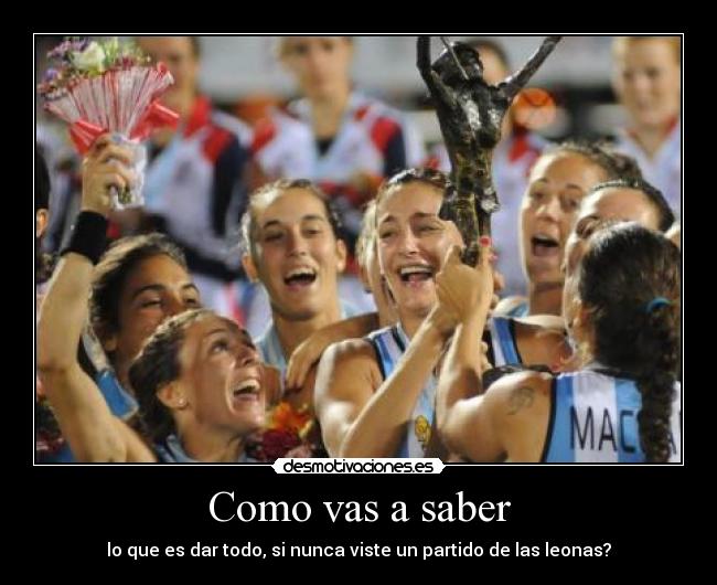 carteles las leonas desmotivaciones