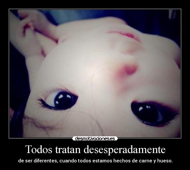 Todos tratan desesperadamente -