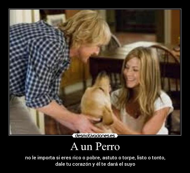 A un Perro -