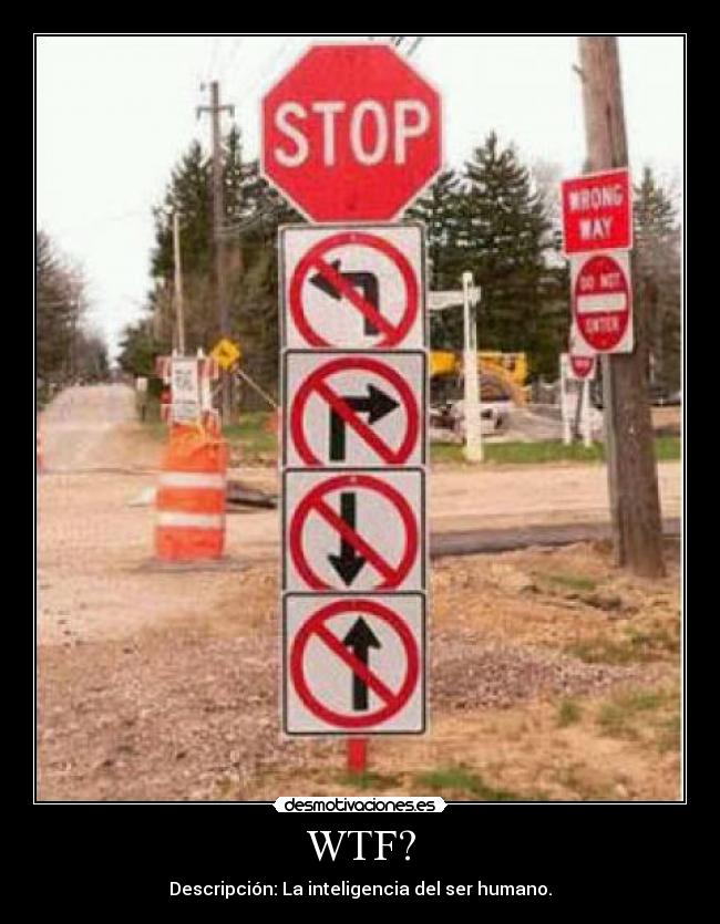 WTF? - Descripción: La inteligencia del ser humano.