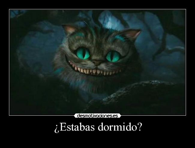 ¿Estabas dormido? -