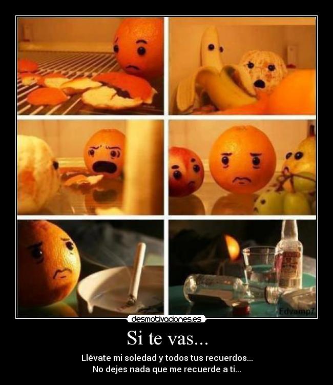 Si te vas... - Llévate mi soledad y todos tus recuerdos...
No dejes nada que me recuerde a ti...