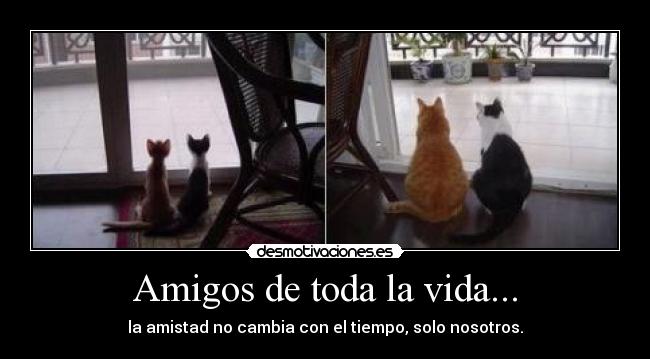 Amigos de toda la vida... - 