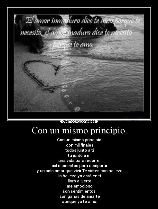 carteles kon mismo principio mol desmotivaciones