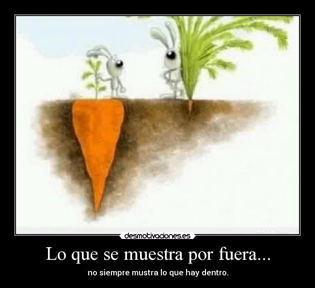 Lo que se muestra por fuera... - no siempre mustra lo que hay dentro.