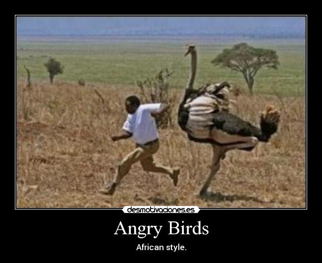 Angry Birds - African style.