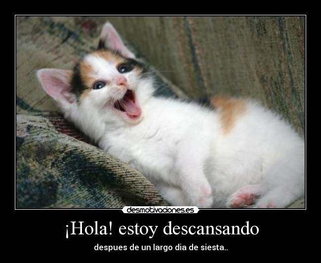 ¡Hola! estoy descansando - 