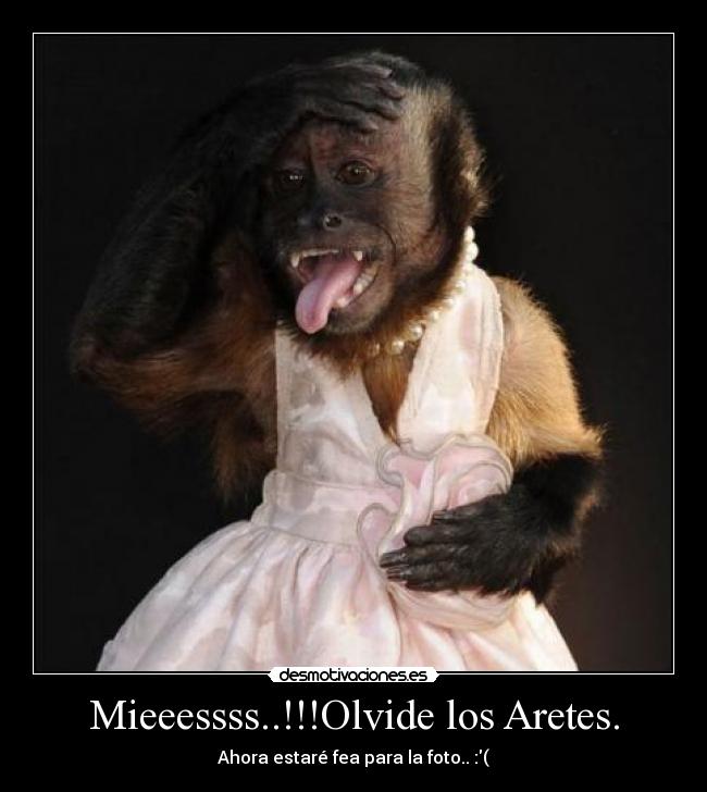 carteles senor las desmotivaciones desmotivaciones