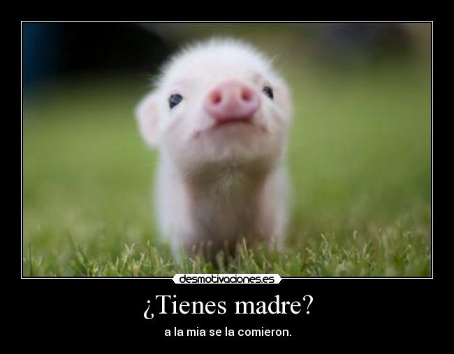 ¿Tienes madre? - a la mia se la comieron.
