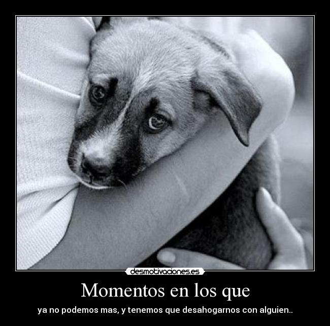 Momentos en los que -