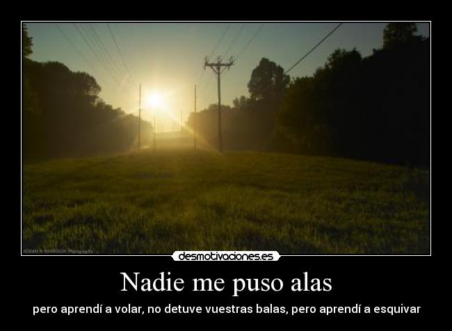 Nadie me puso alas - pero aprendí a volar, no detuve vuestras balas, pero aprendí a esquivar