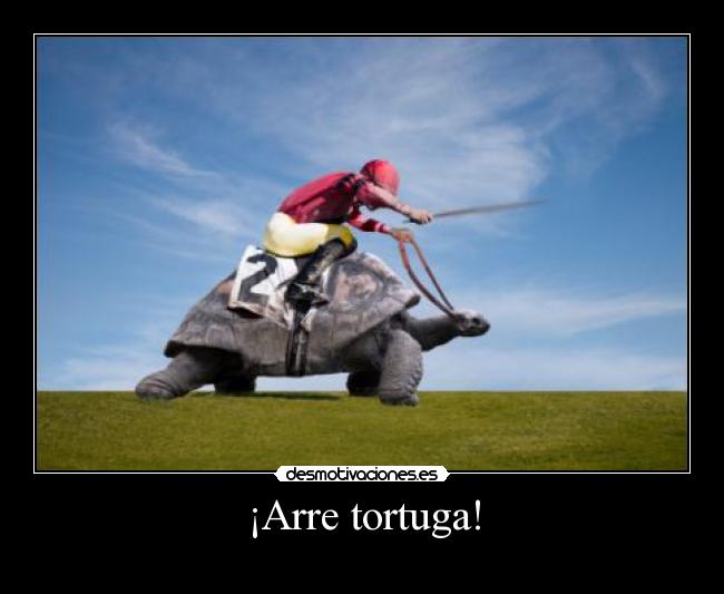 ¡Arre tortuga! - 