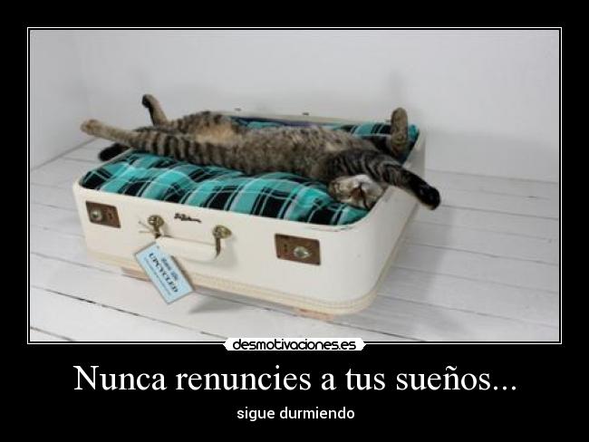 Nunca renuncies a tus sueños... - 