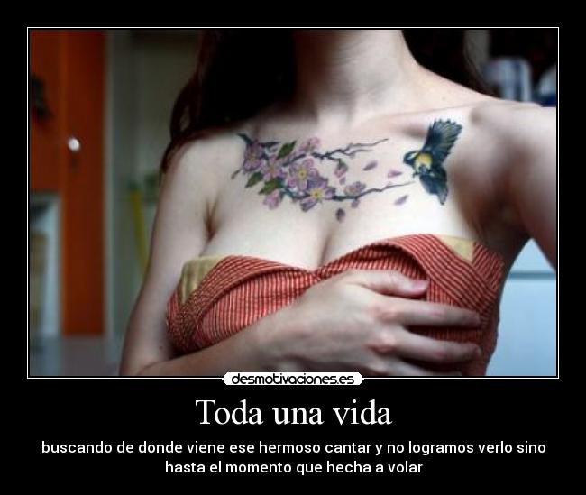 Toda una vida - buscando de donde viene ese hermoso cantar y no logramos verlo sino
hasta el momento que hecha a volar