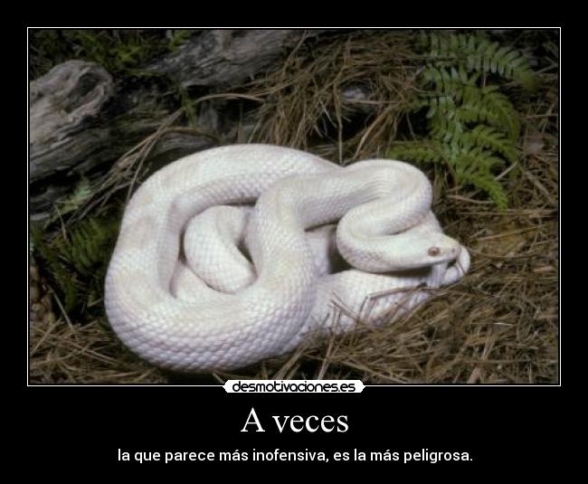 A veces - la que parece más inofensiva, es la más peligrosa.