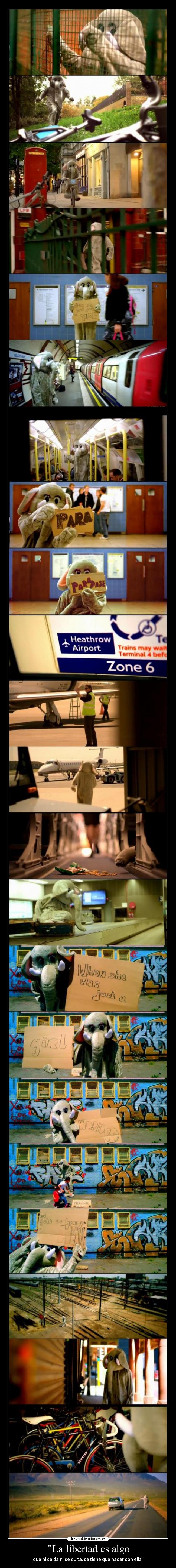 La libertad es algo -