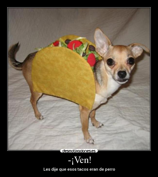 -¡Ven! - Les dije que esos tacos eran de perro