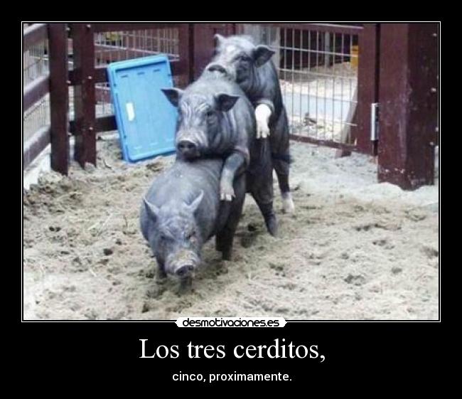 Los tres cerditos, -
