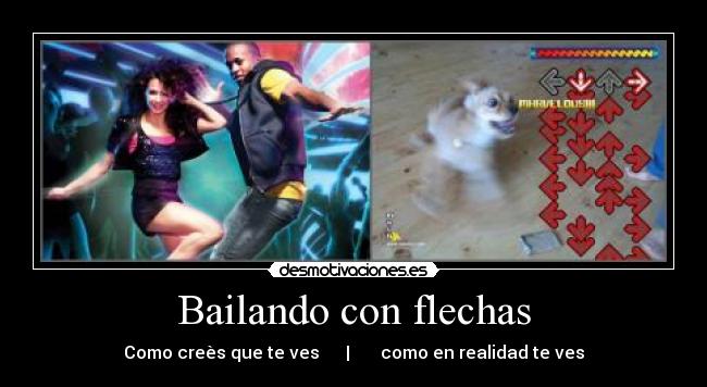 Bailando con flechas - Como creès que te ves      |       como en realidad te ves