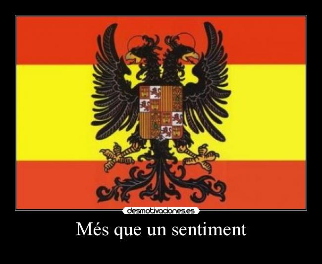 Més que un sentiment -