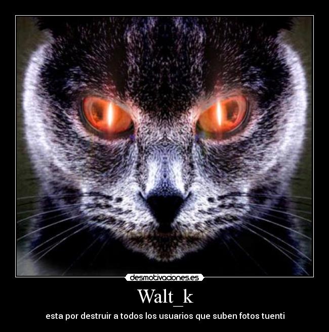 Walt_k -