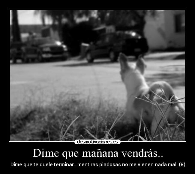 Dime que mañana vendrás.. - Dime que te duele terminar...mentiras piadosas no me vienen nada mal..(8)