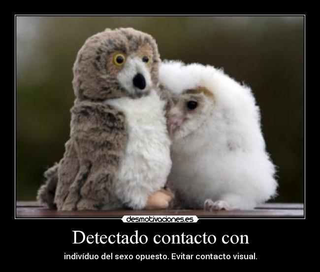 Detectado contacto con -