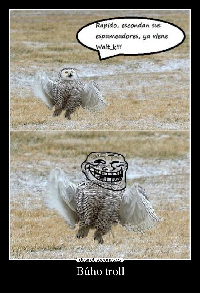 Búho troll - 