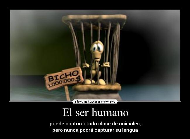 El ser humano -