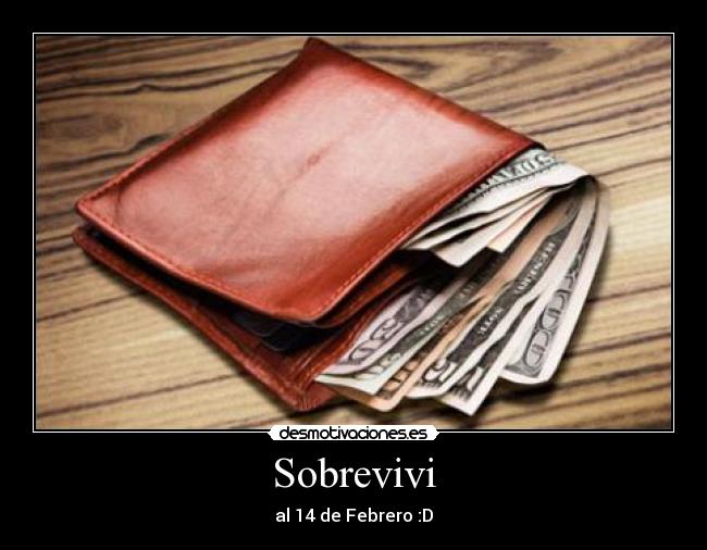 Sobrevivi -