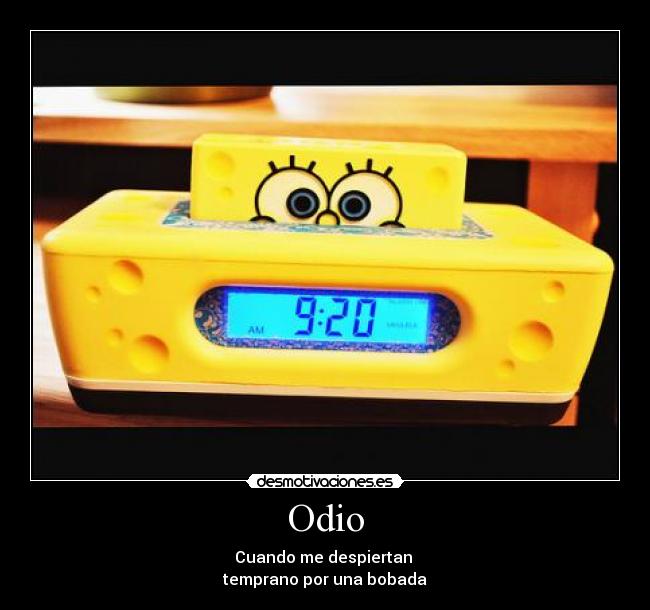 Odio -