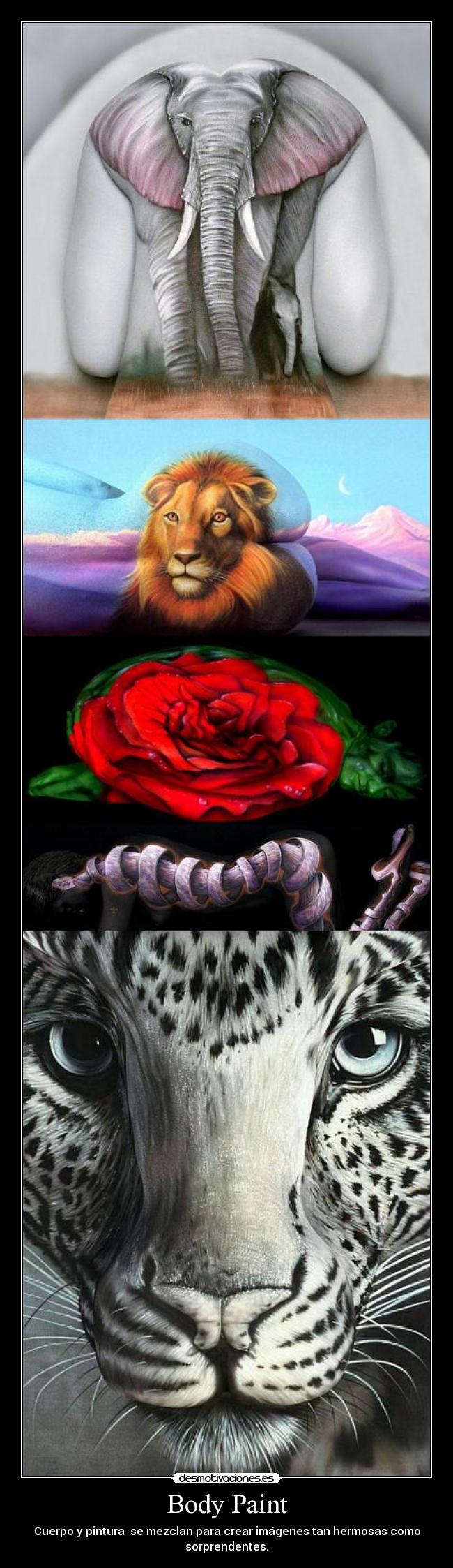 Body Paint - Cuerpo y pintura  se mezclan para crear imágenes tan hermosas como
sorprendentes.