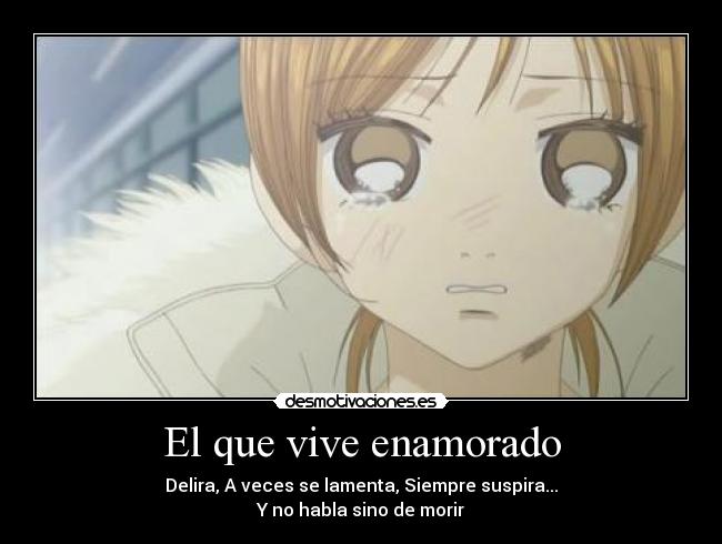 El que vive enamorado -