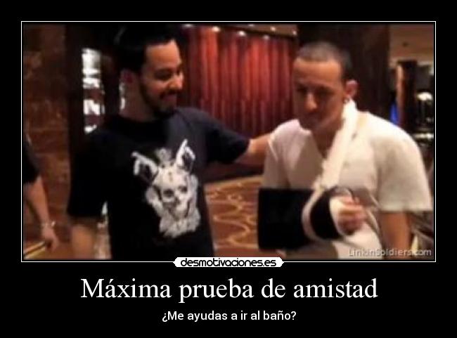 carteles amistad maxima prueba amistad ayudas bano desmotivaciones