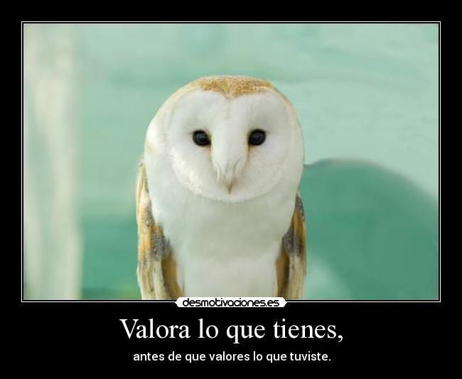Valora lo que tienes, - 