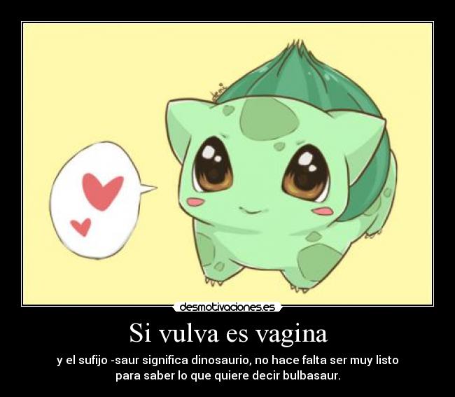 Si vulva es vagina - 