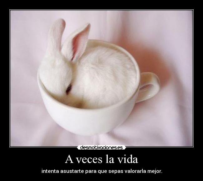 A veces la vida -