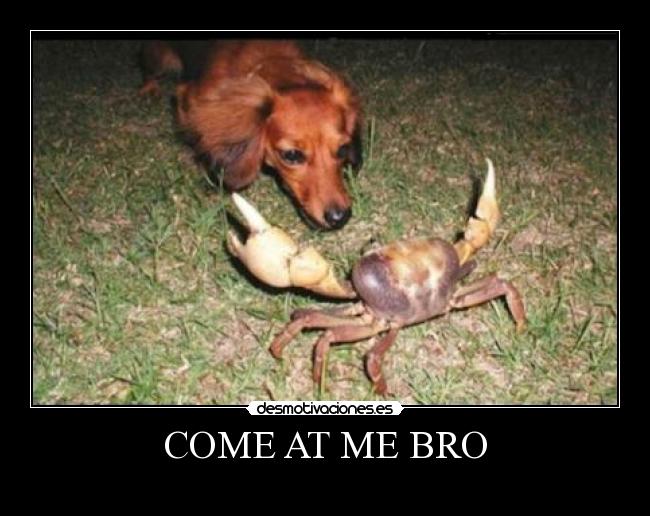 COME AT ME BRO - 