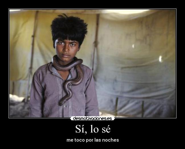 carteles serpiente desmotivaciones