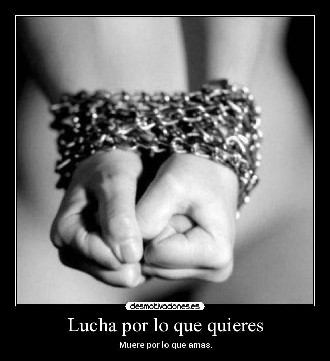 Lucha por lo que quieres - 