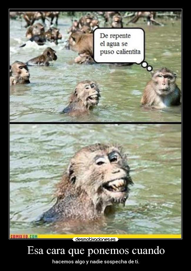 Esa cara que ponemos cuando - hacemos algo y nadie sospecha de ti.