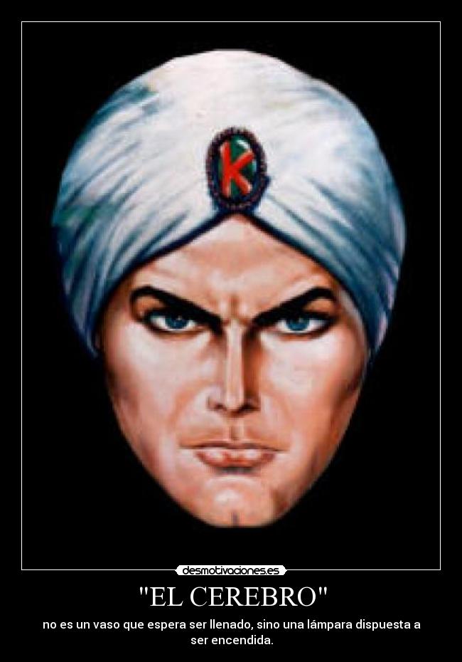 EL CEREBRO -
