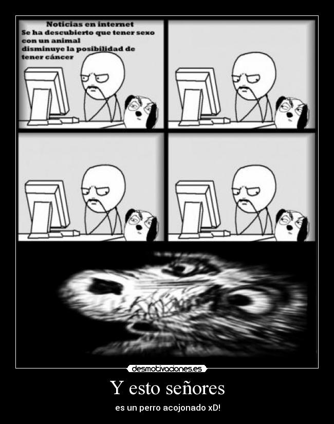 Y esto señores - es un perro acojonado xD!